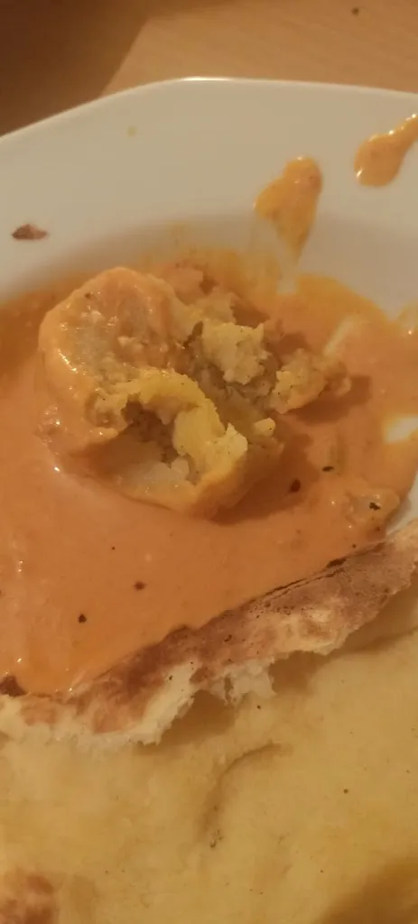 Himani Dubey_Restaurant Sarker's Masala_Lech_review