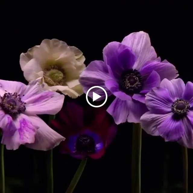 Dora's Cafè & Bistro_(Odenwald)_slider_image_2