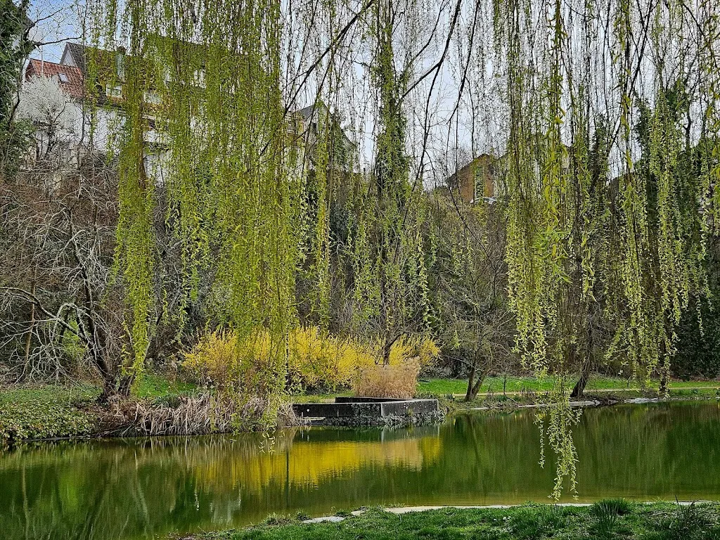 Emanuelle_Das Park - Restaurant und Café_Bellingen_review