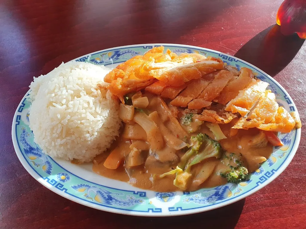 Menu_Hong Thai Lotus_Lichtenau_immagine_5