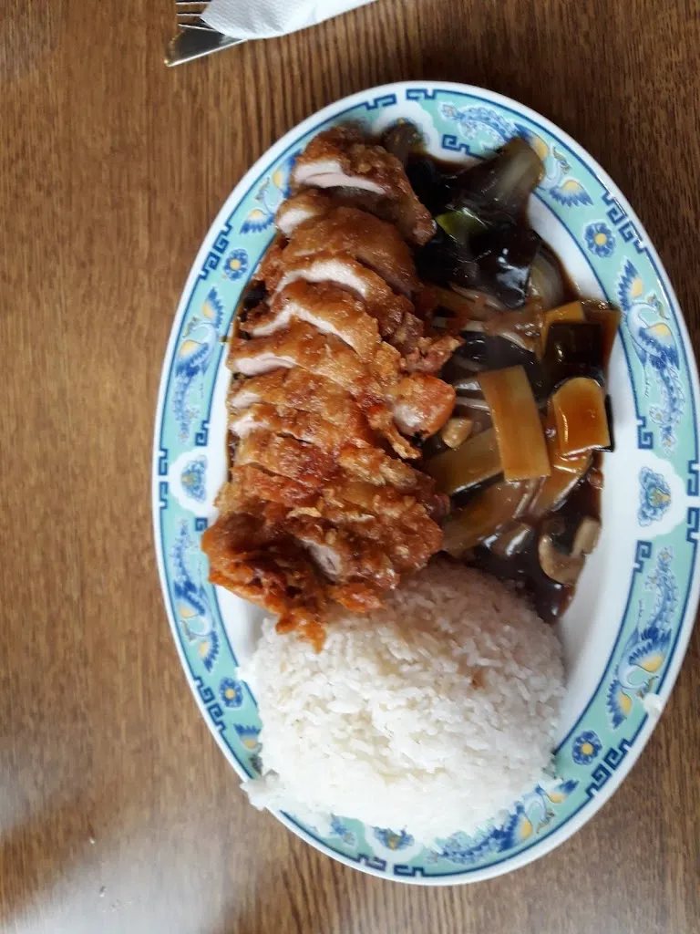 Menu_Hong Thai Lotus_Lichtenau_immagine_6