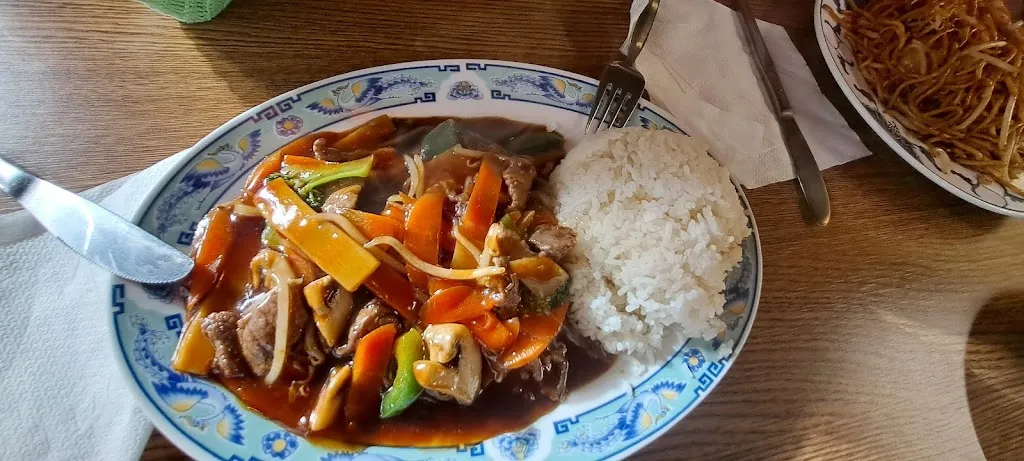 Menu_Hong Thai Lotus_Lichtenau_immagine_8