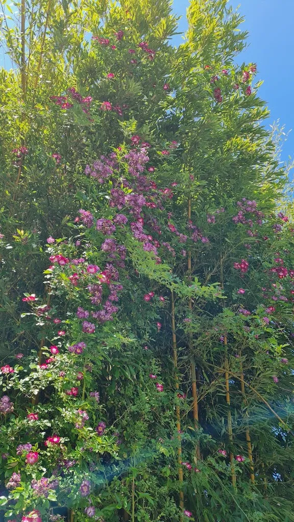 Anke Glover_Landhaus Ettenbühl_Bellingen_review