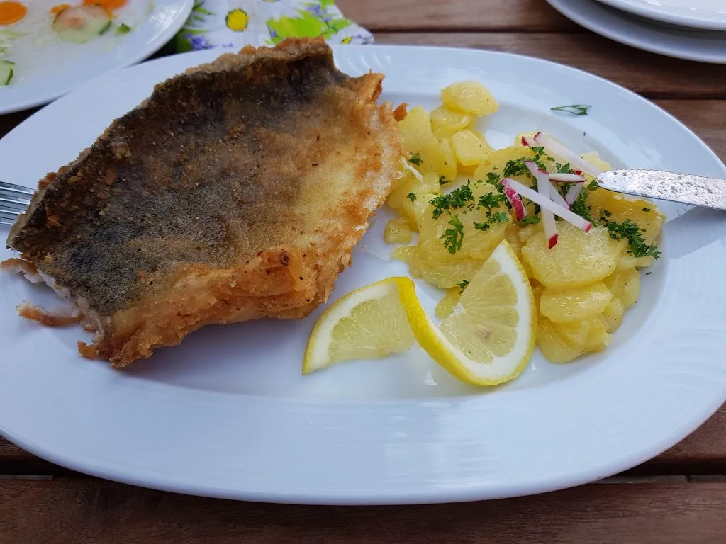 Menu_Gasthaus Zur Traube Inh. Hans Pfeufer_Bibart_immagine_7