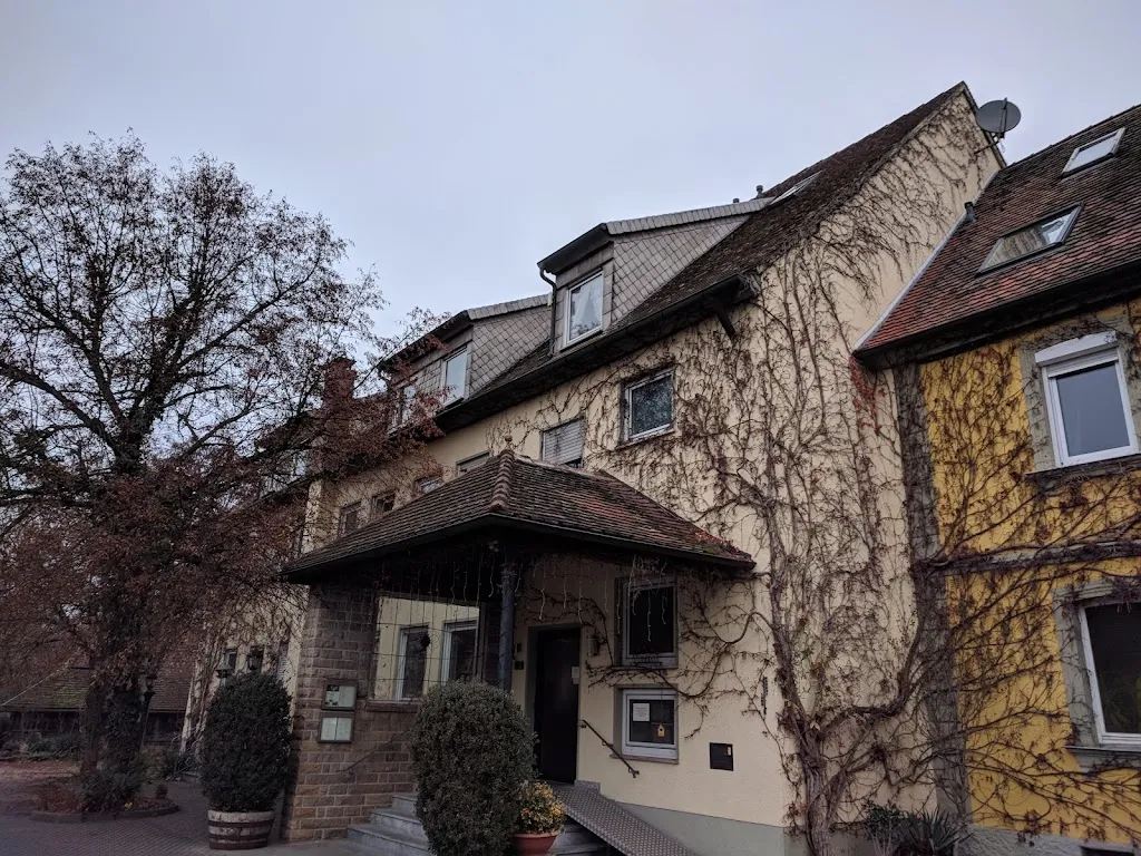 Jan Beranek_Wellmann_Taschendorf_review