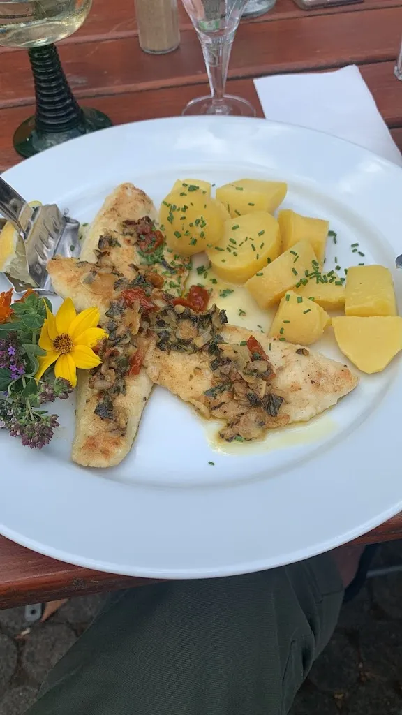 Laura van Kooten_Wellmann_Taschendorf_review