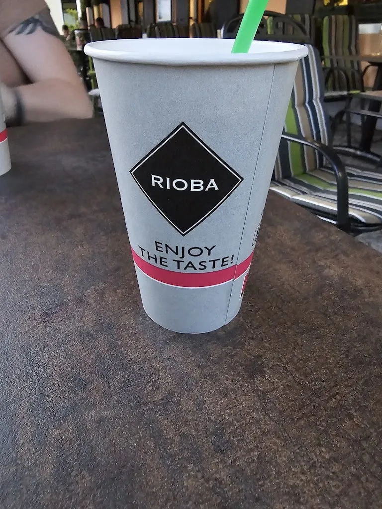 Rachel Elkins_Das grüne Pferd_Schwaben_review