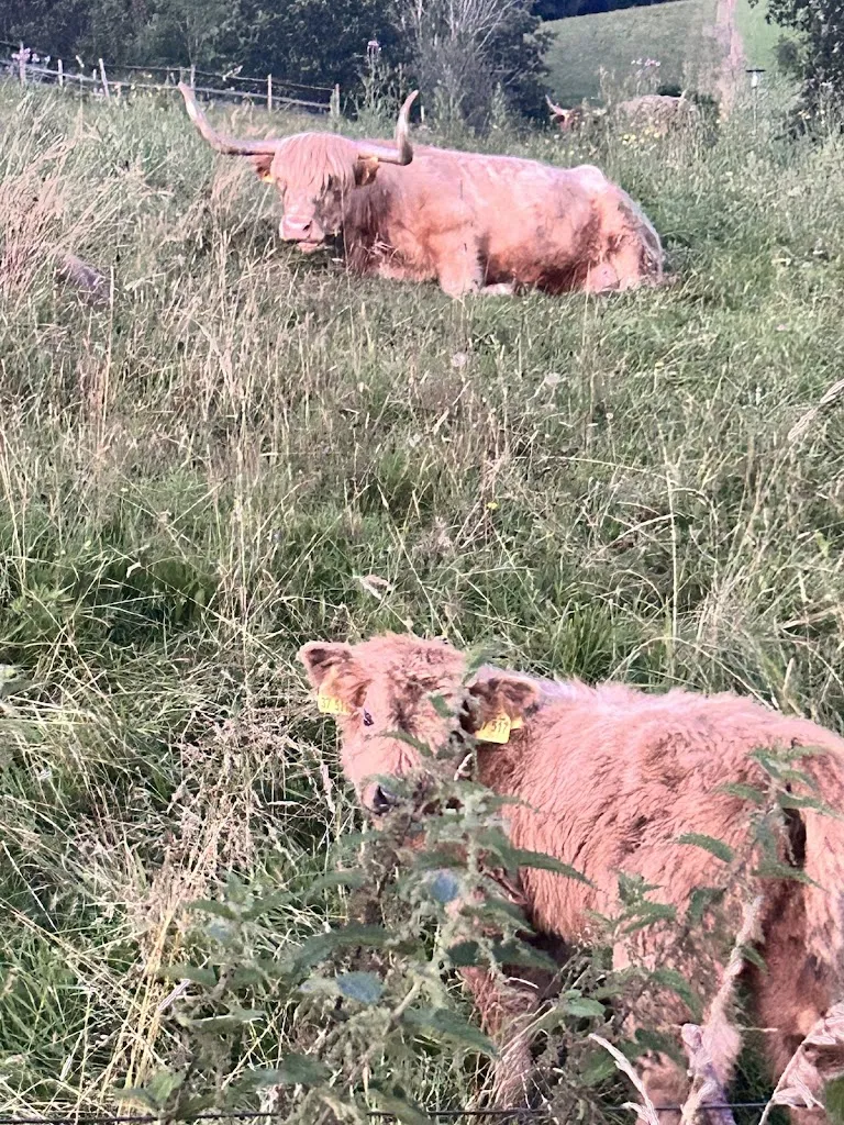 L.A.T._Alte Schießstätte Inh. M. Dippold_Miesbach_avis