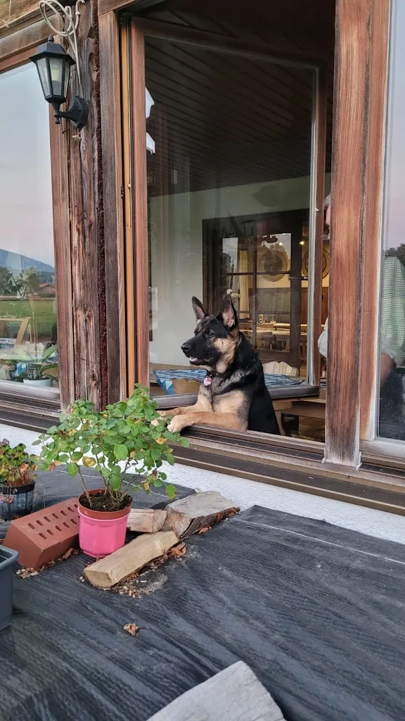 Math with Me_Alte Schießstätte Inh. M. Dippold_Miesbach_avis