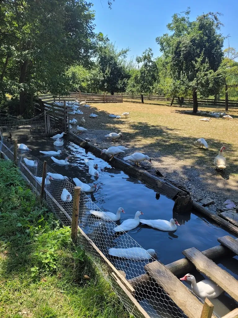 Brigitte Rixner_Gasthaus Kürzinger Airischwand_Nandlstadt_review