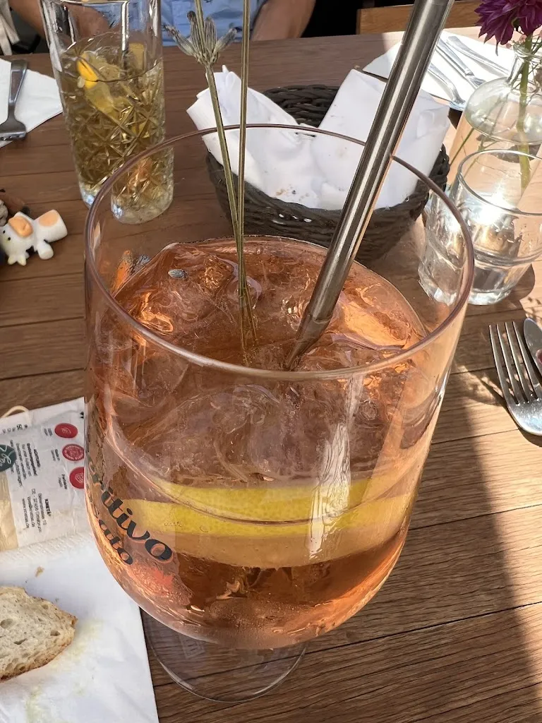 Jirina Sigel_Rauchensteiner_Landshut_recensione