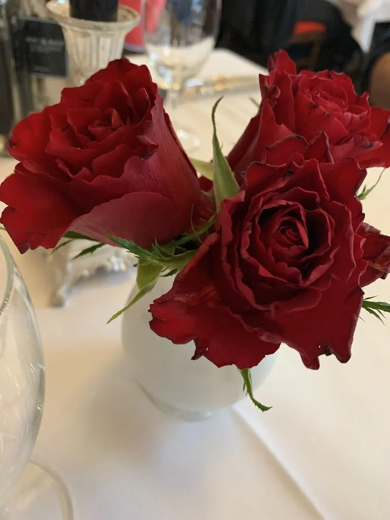 Novelette Witt_Gabelsbergerhof Landshut_Landshut_review