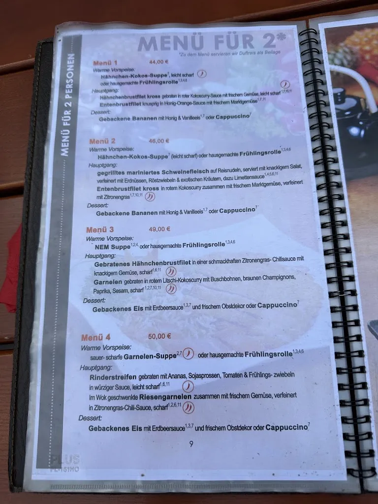 Menu_Nem Restaurant_Landshut_image_4