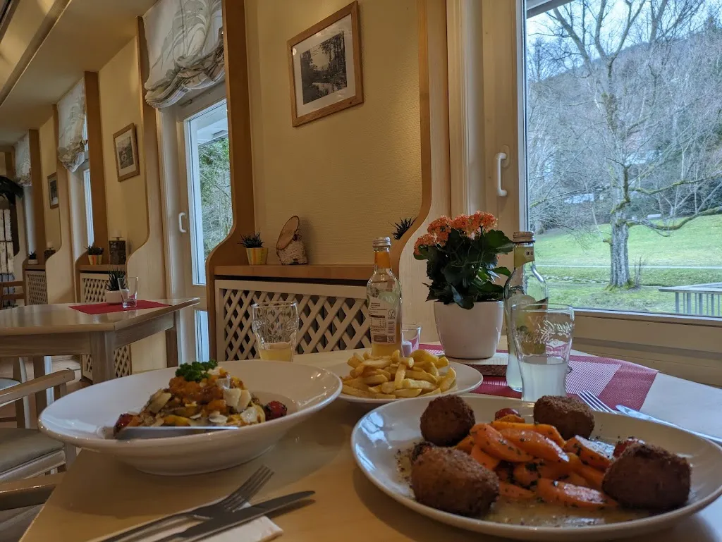 Veena Suhas_Park Restaurant Bad Herrenalb_Herrenalb_review