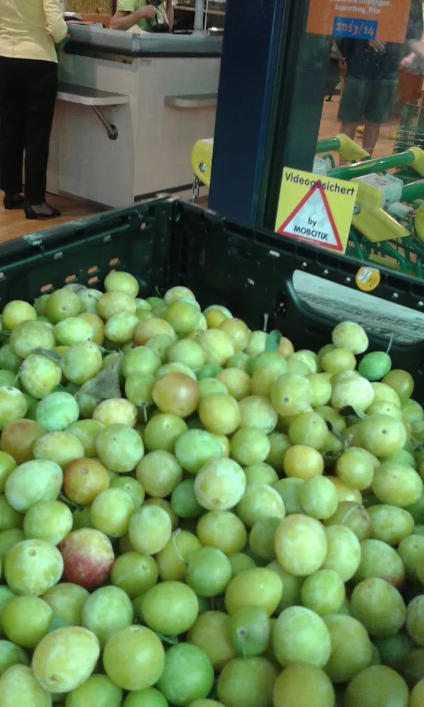 Menu_Dubrovnik Restaurant_Saarbrücken_image_7