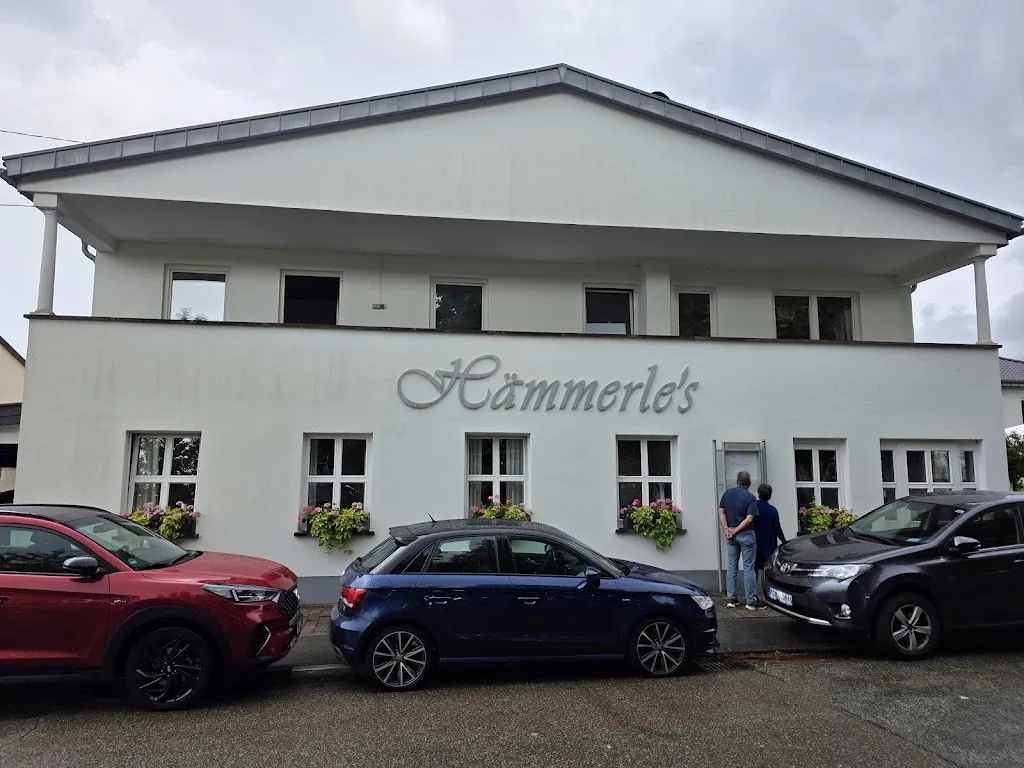 Hartmut Carra_Hämmerles Restaurant_Blieskastel_review