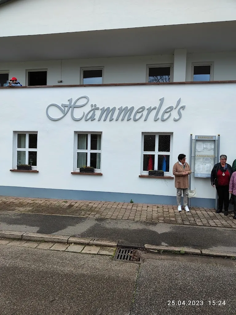 Hämmerles Restaurant restaurant in Blieskastel