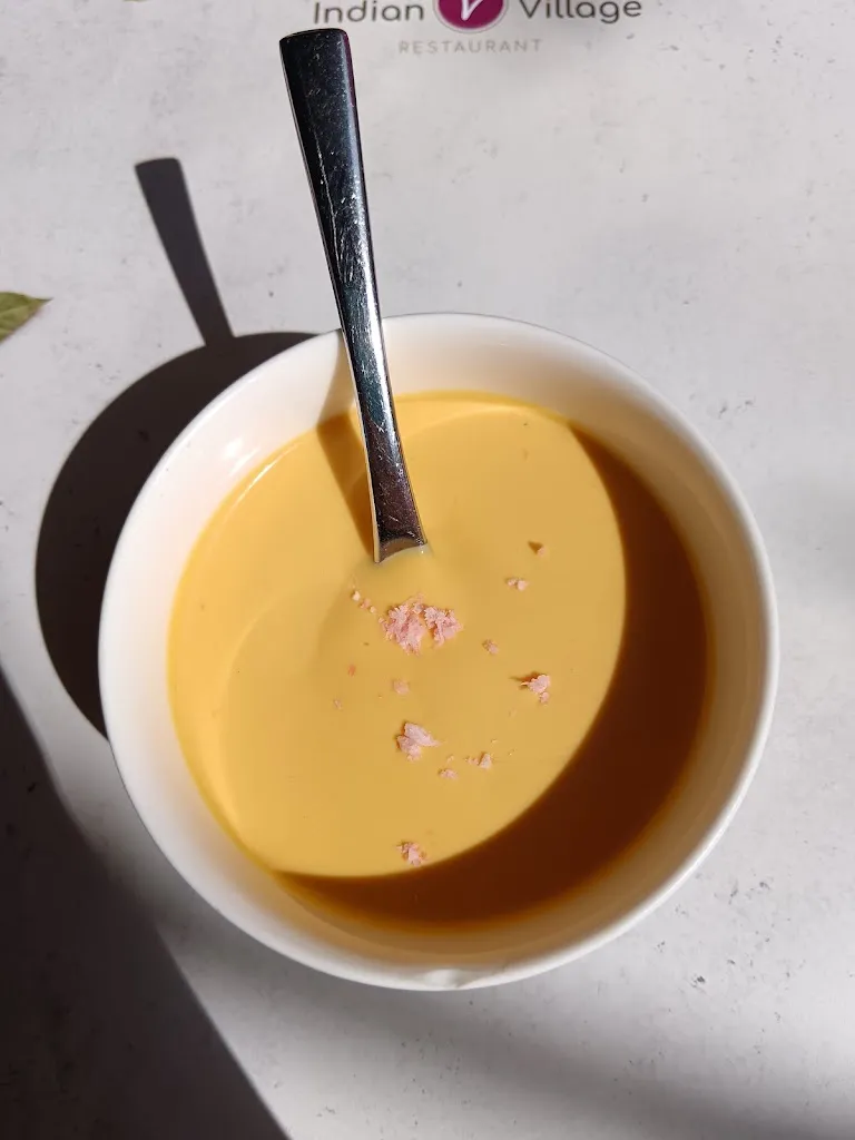 Iv :D_Restaurant Indian Village_Freising_review