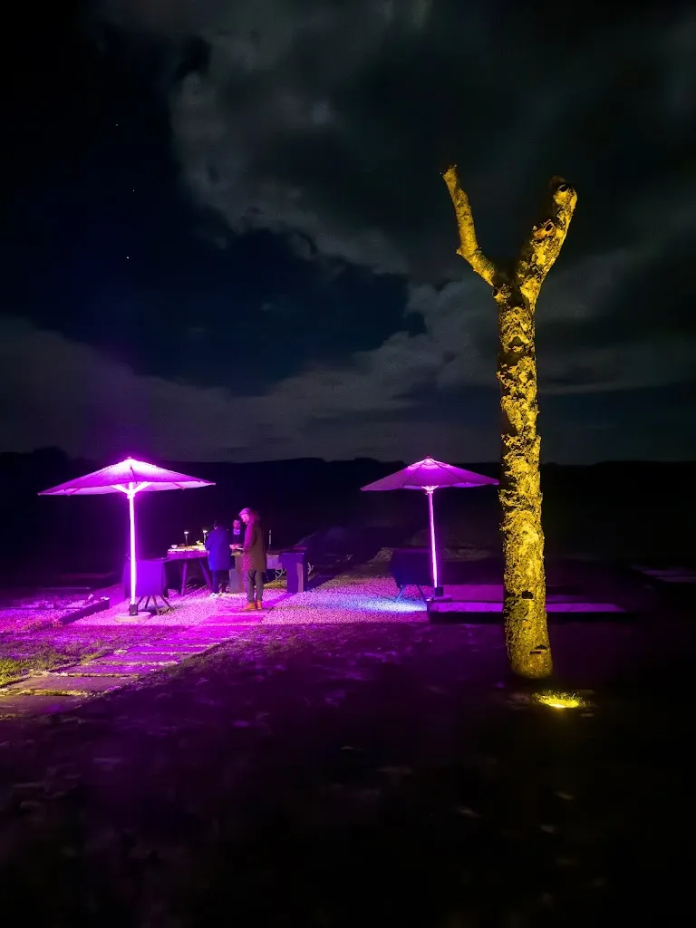 Ulrike Pichl_HIO_Pilsach_review