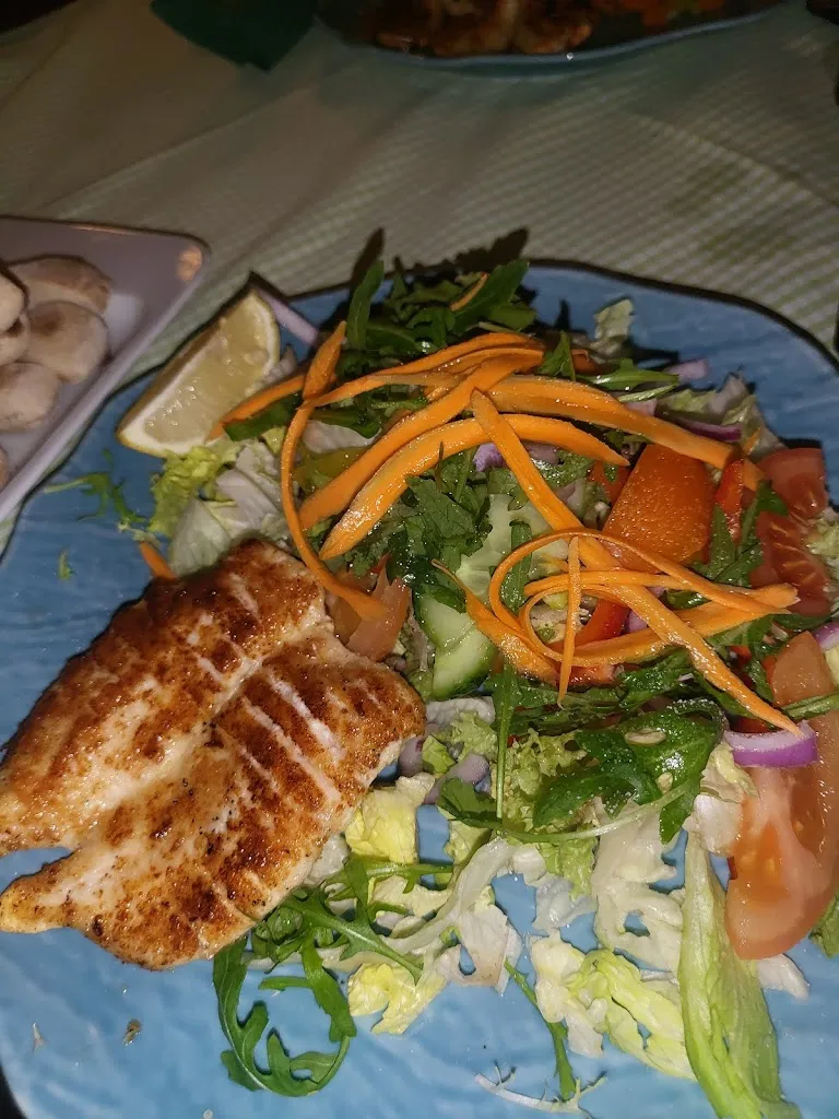 Claudia Nützl_Italia am See-Rocco_Postmünster_review