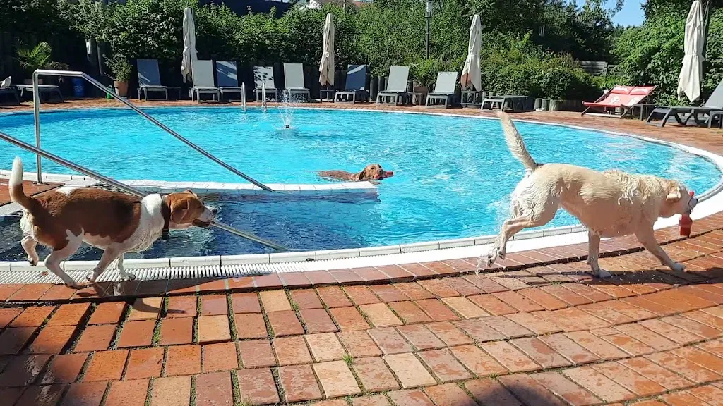 Seehotel Moldan_Postmünster_slider_image_2