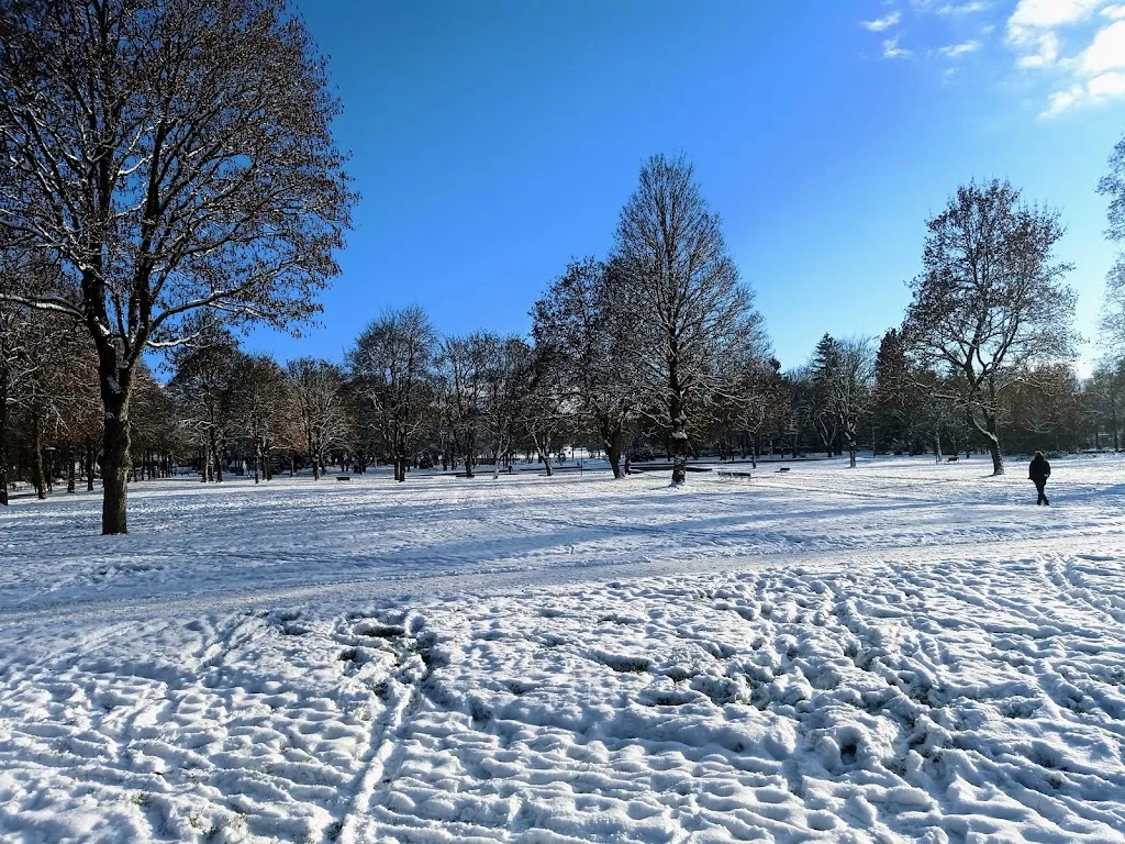 Dr. Who_Restaurant im Parkhotel Waldeck Schrenk_Dürrheim_review