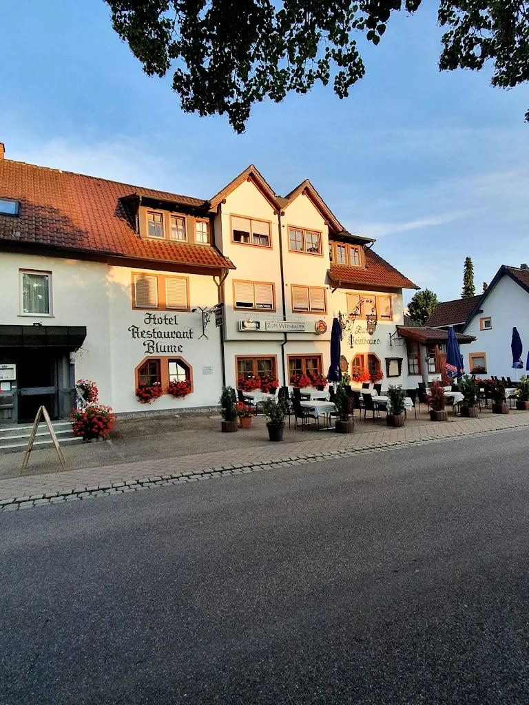 Zum Urigen Weinbauer - Familie A. Zyberaj_Dürrheim_slider_image_3