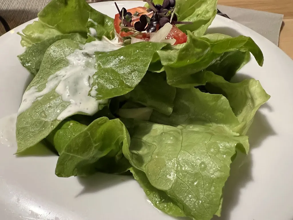 Menu_Landgasthof Schwarzwirt Gaststätte - Saal - Biergarten_Rain_immagine_5