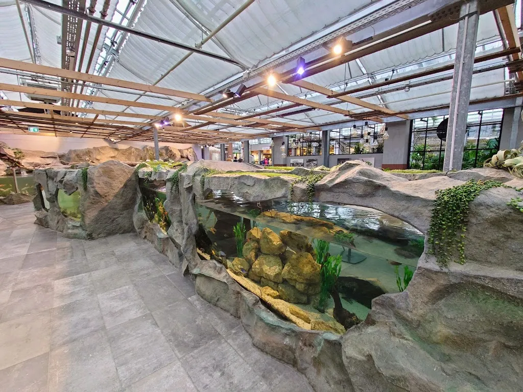 Dehner Blumenrestaurant restaurant in Rain