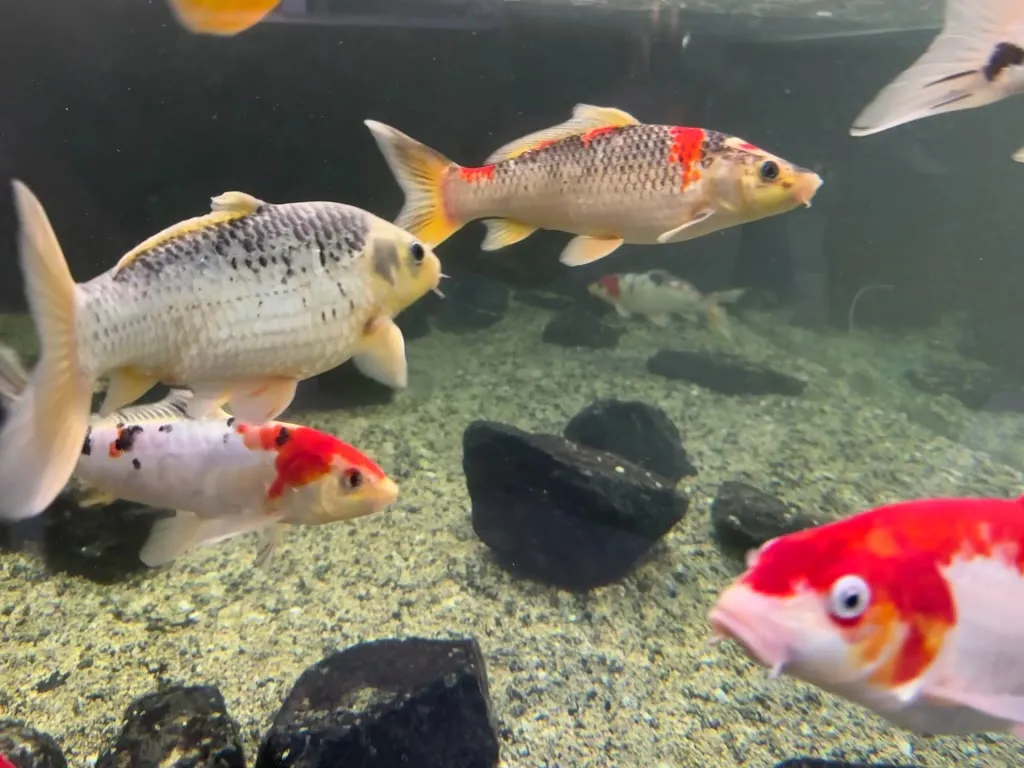 Dehner Blumenrestaurant_Rain_slider_image_2