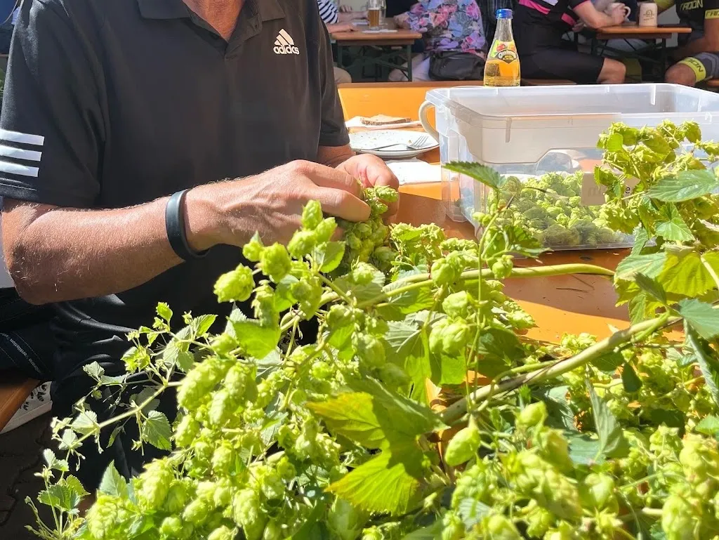 Menu_SONNEN-BRÄU Mürsbach_Rattelsdorf_immagine_7