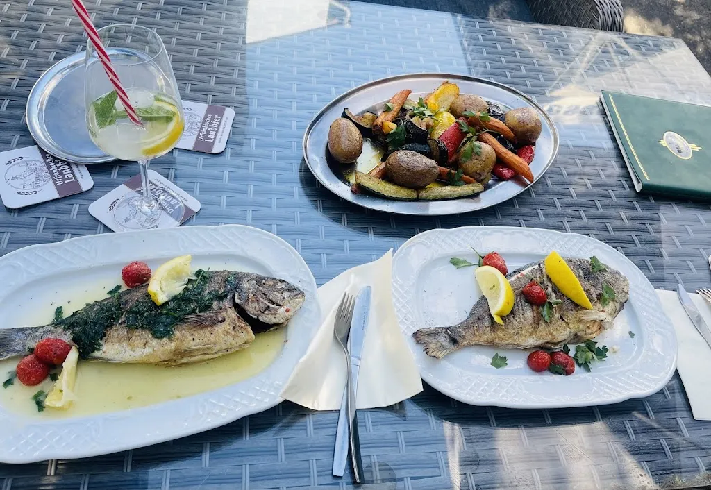 Butterfly Treffpunkt_Randersacker_slider_image_2