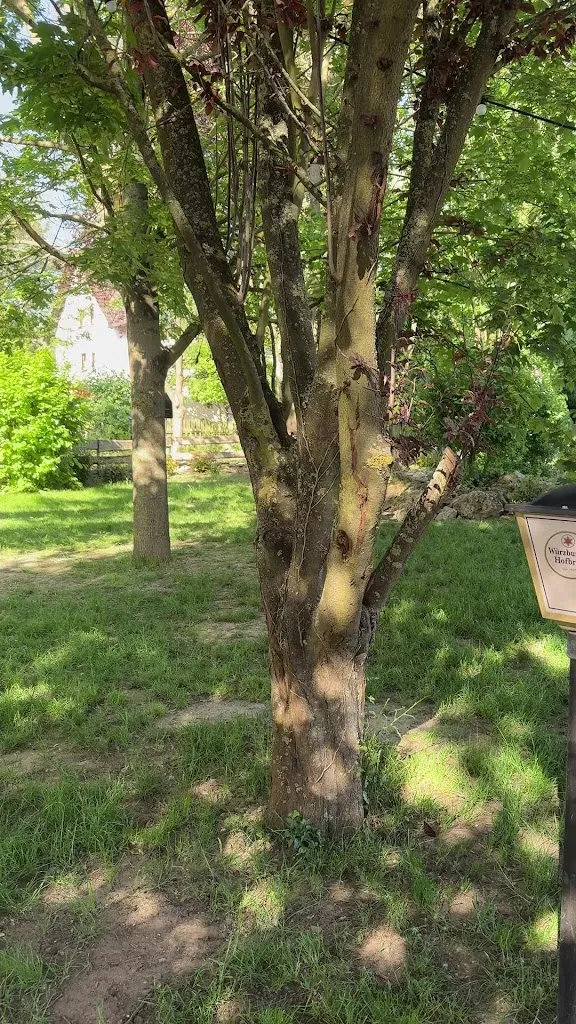 Hugo's Biergarten_Randersacker_slider_image_2