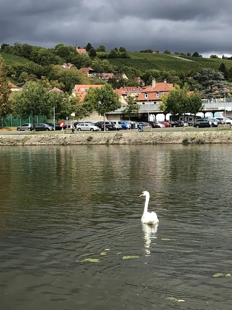 Randersacker restaurant in Randersacker