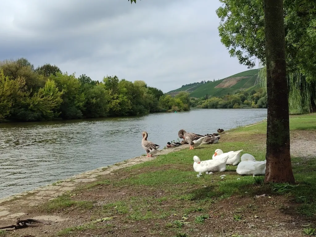 Pir Sultan_Randersacker_slider_image_2