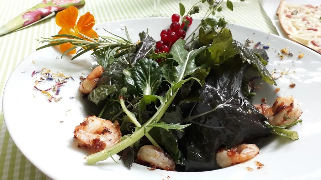 Menu_Wirtshaus Elwetritsch_Schweigen-Rechtenbach_image_3