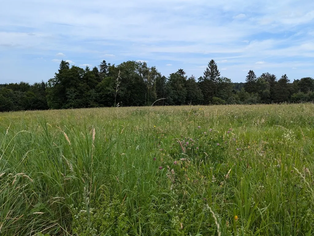 Shadow Web_Imbiss Stüble Monbachtal_Liebenzell_recensione