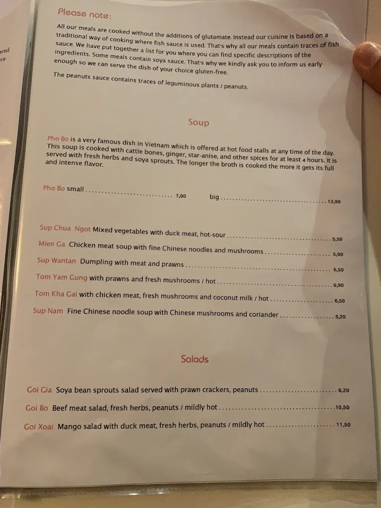 Menu_VyVu Vietnam Asia Cuisine_Regensburg_image_3