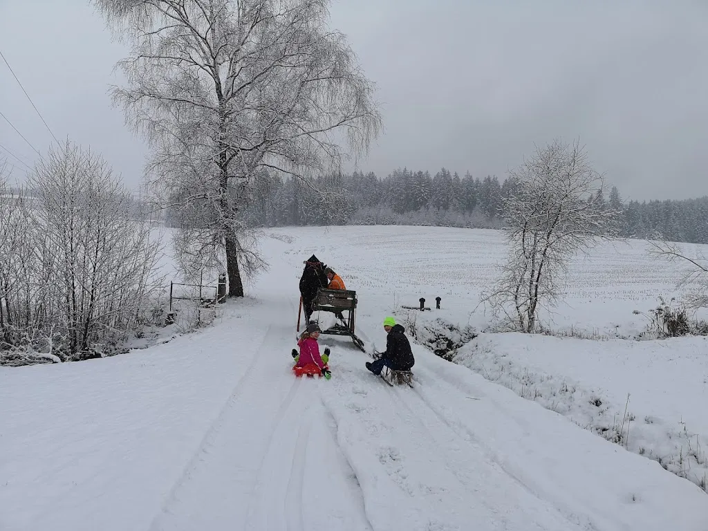 Gutshof Falter restaurant in Regen