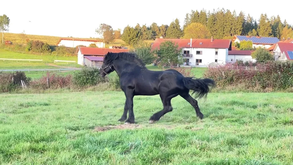 Gutshof Falter_Regen_slider_image_3