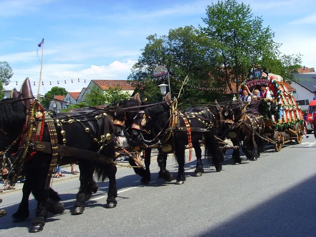 Berg Murmel_Privatbrauerei J. B. Falter Regen_Regen_review