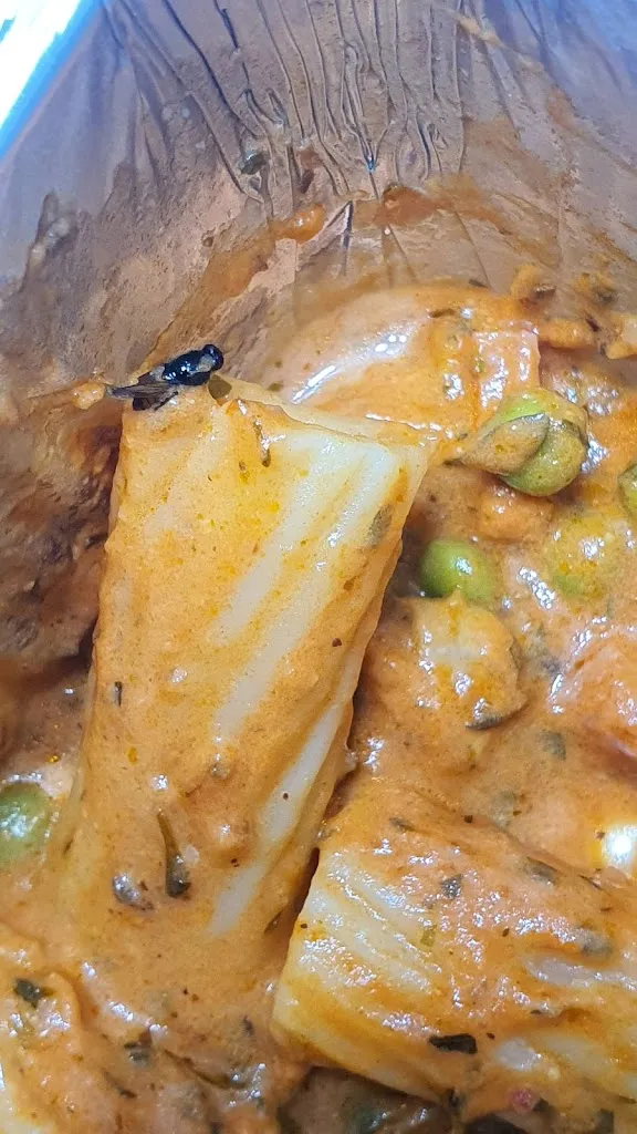 Anja_Pizzeria San Remo Heimservice_Regen_review