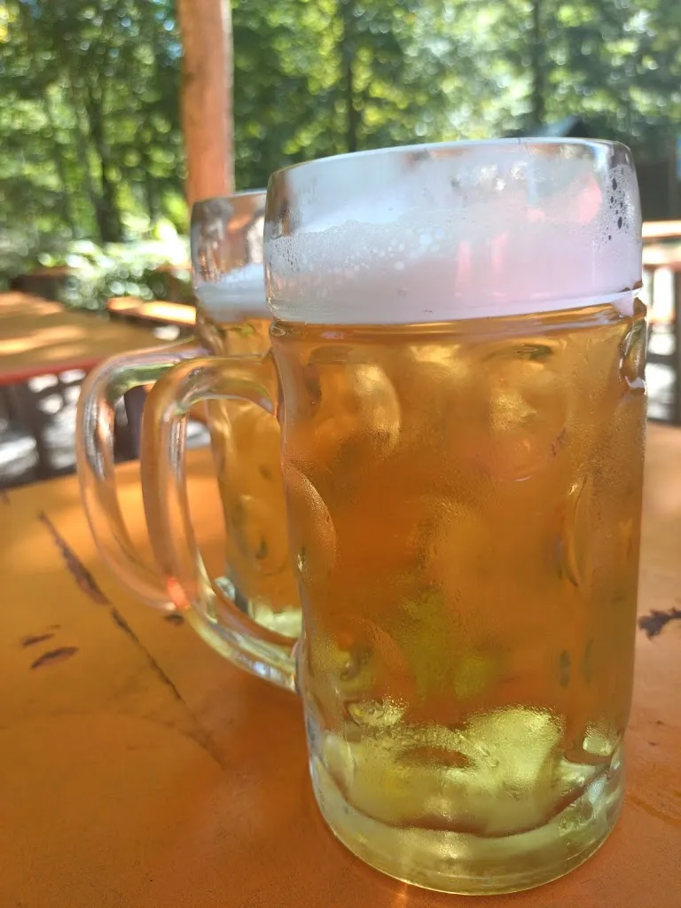 Ingrid Popp_Waldhaus Einsiedel_Rimpar_review