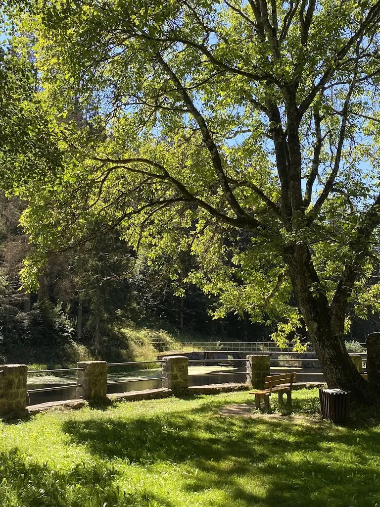 Natalia Olguin A_Familien - Restaurant Koller_Ringelai_review