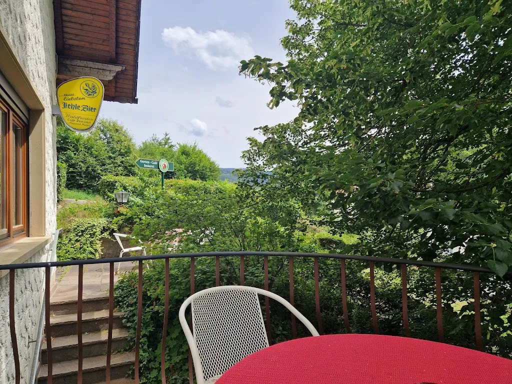 Flora van den Berg - Janssen_Café Waldfrieden_Peterstal-Griesbach_review