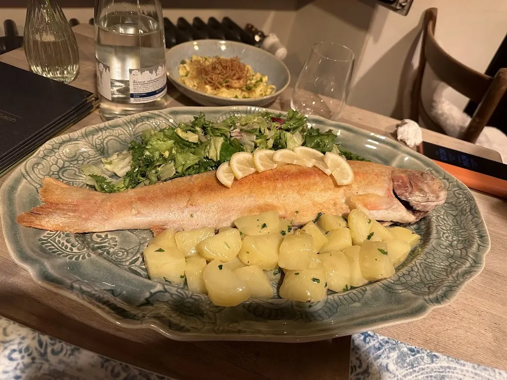 冰宸寂_Traube Rohrbach_Heidelberg_review