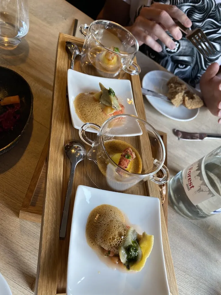 Tarara Veronica_Traube Rohrbach_Heidelberg_review