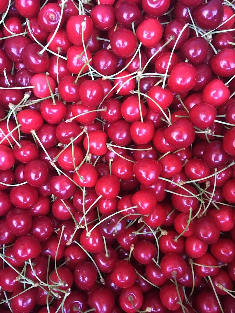 Menu_Hotel-Restaurant zum Bahnhof 1894 Rohrbach_Rohrbach_image_2