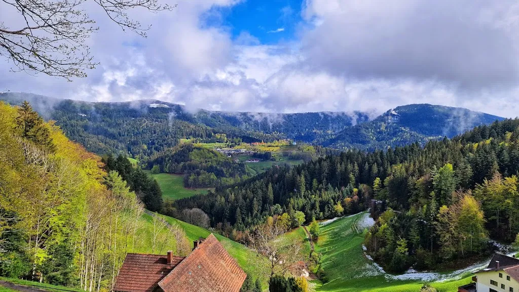 Animö 84_Zum Breitenberg_Peterstal-Griesbach_recensione