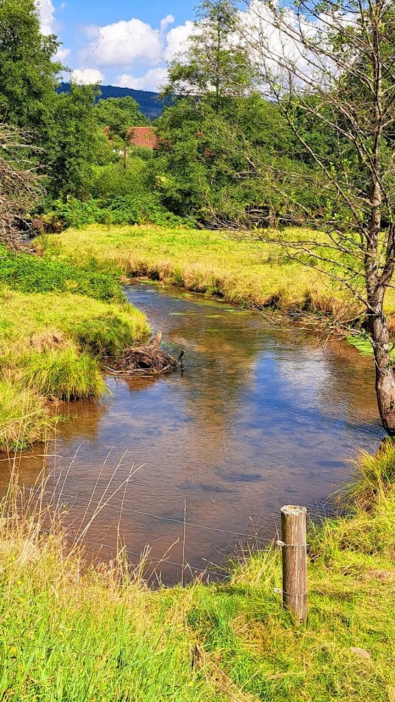 Gasthof-Pension Hoher Knuck_Rothenbuch_slider_image_3